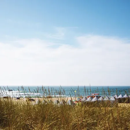 Beach Porto * Lavra